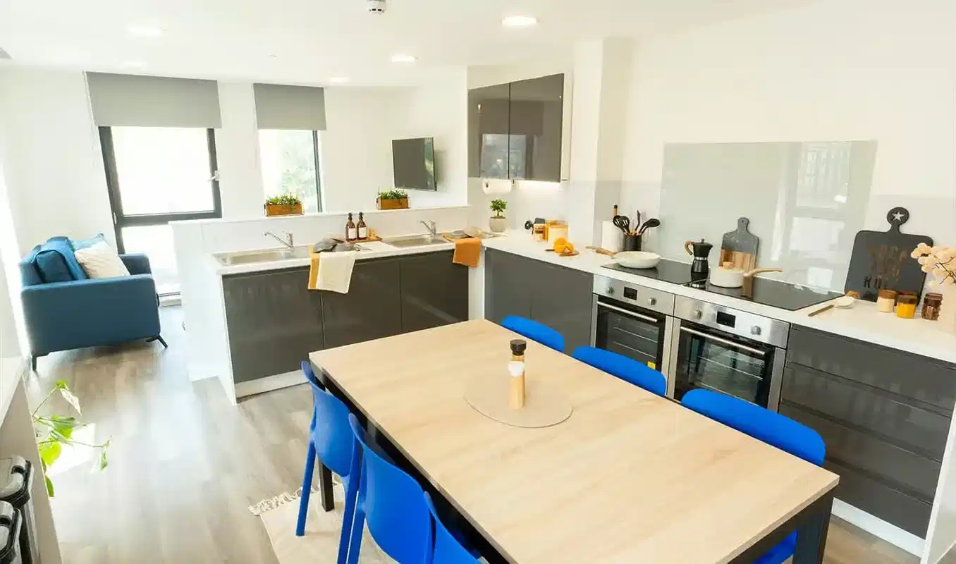 Currus Court, Canterbury - Canterbury, England, United Kingdom - Kitchen