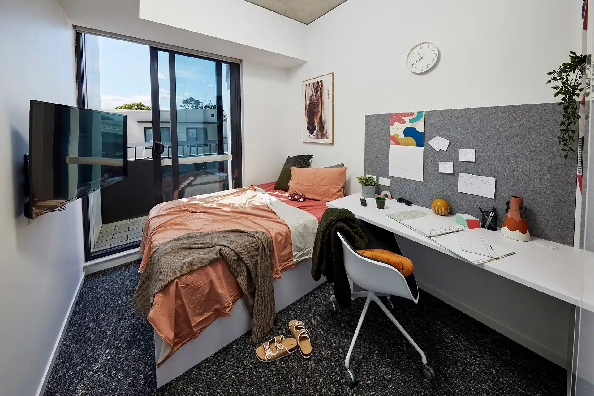 5 Bed Apartment