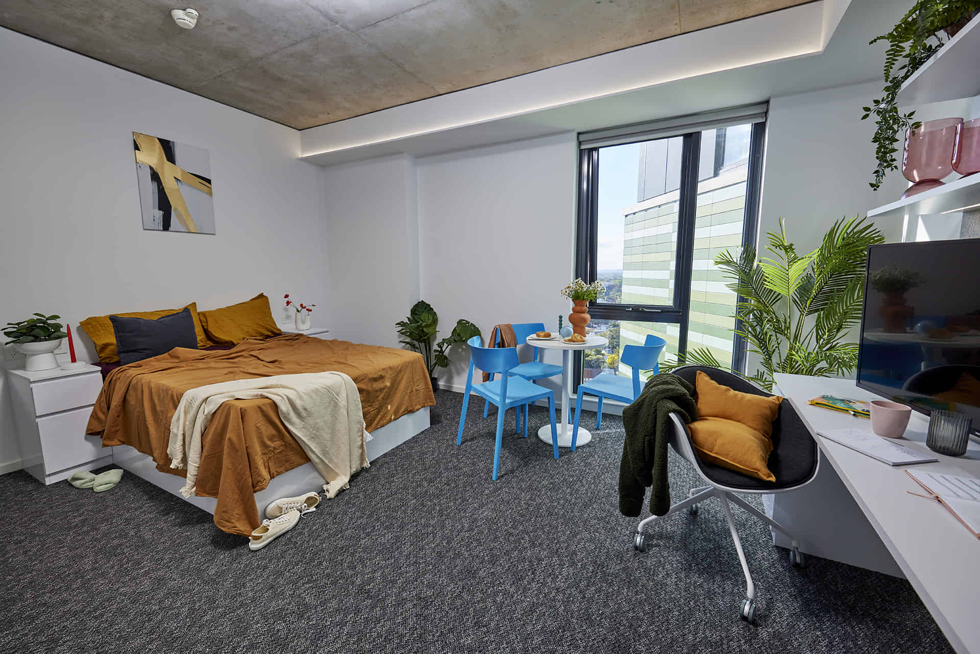 Ultra Studio Apartment  City Views