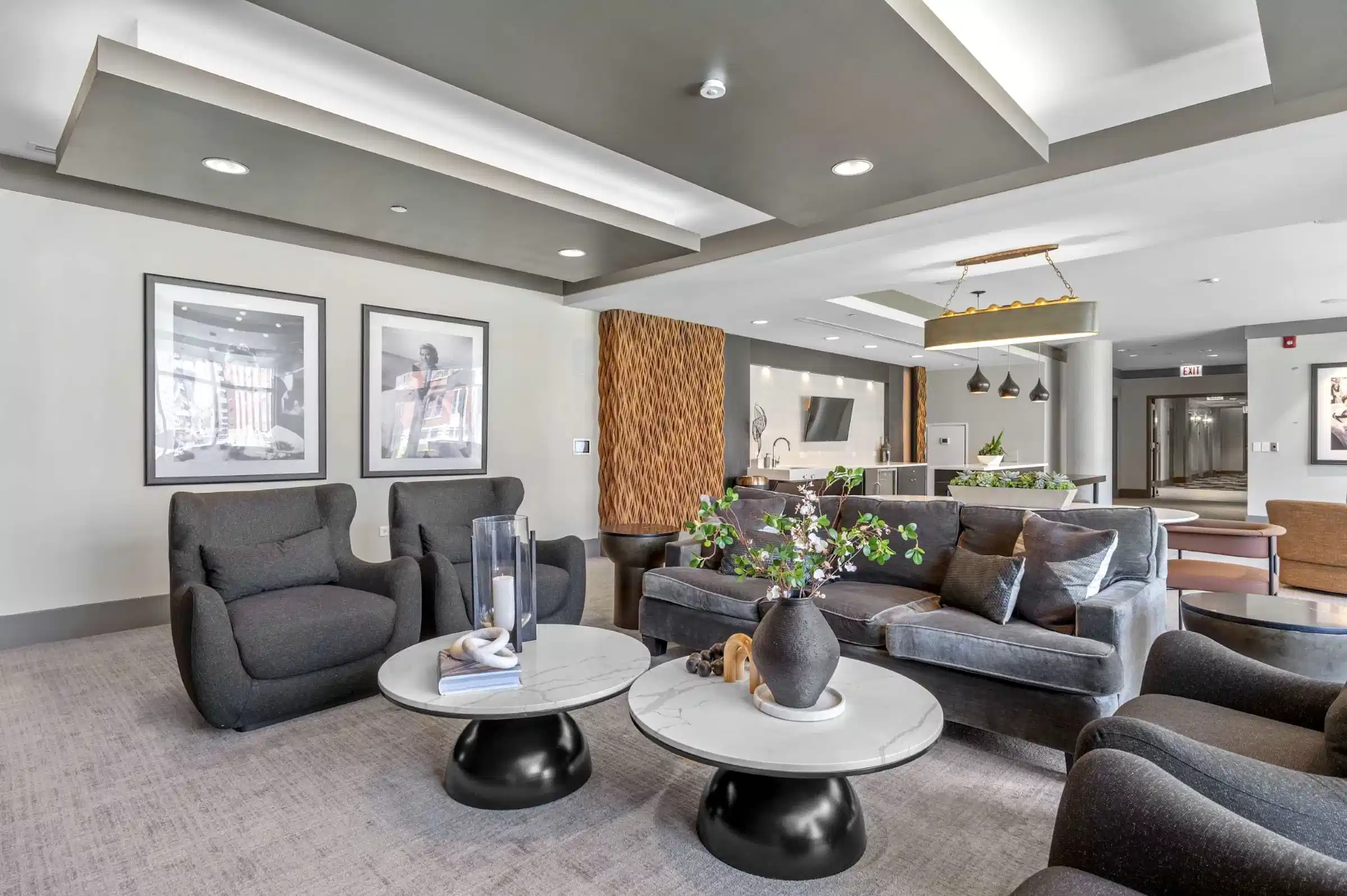 The Elle Apartments, Chicago 5