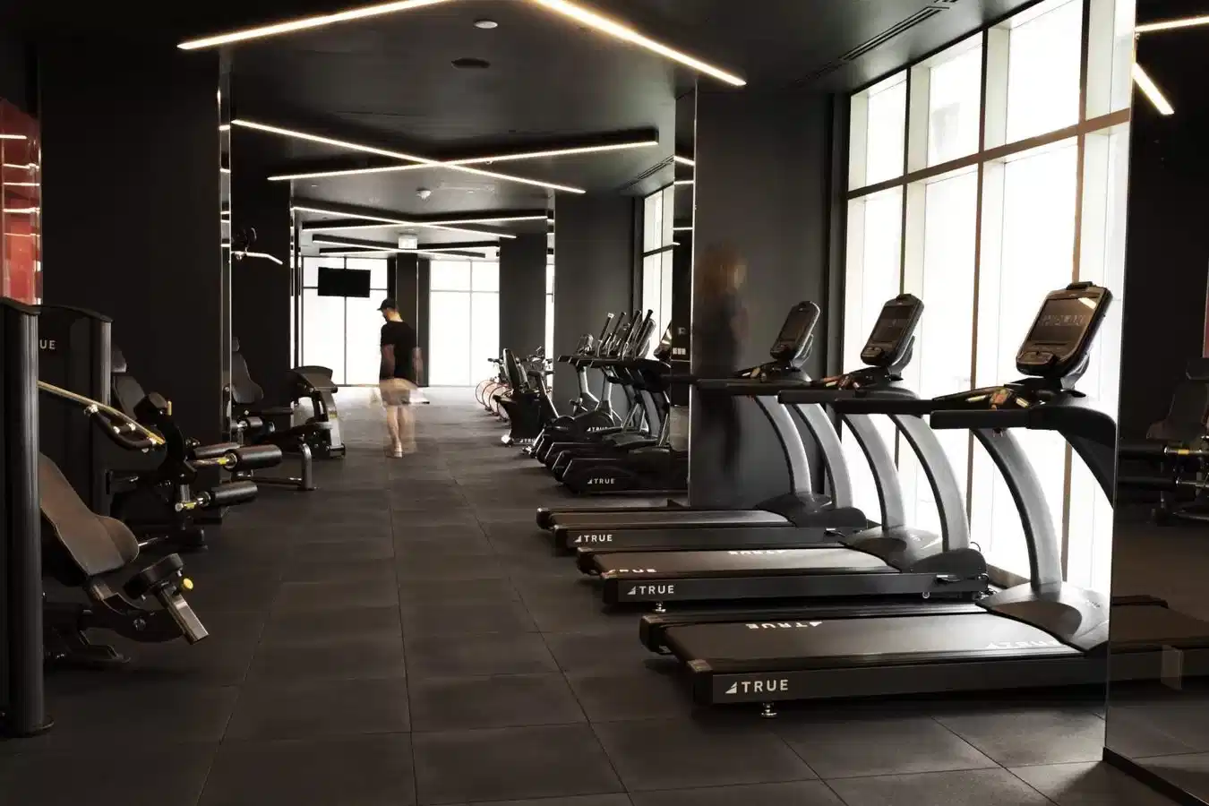 YVR M4, Toronto - Toronto, Ontario, Canada - Amenities