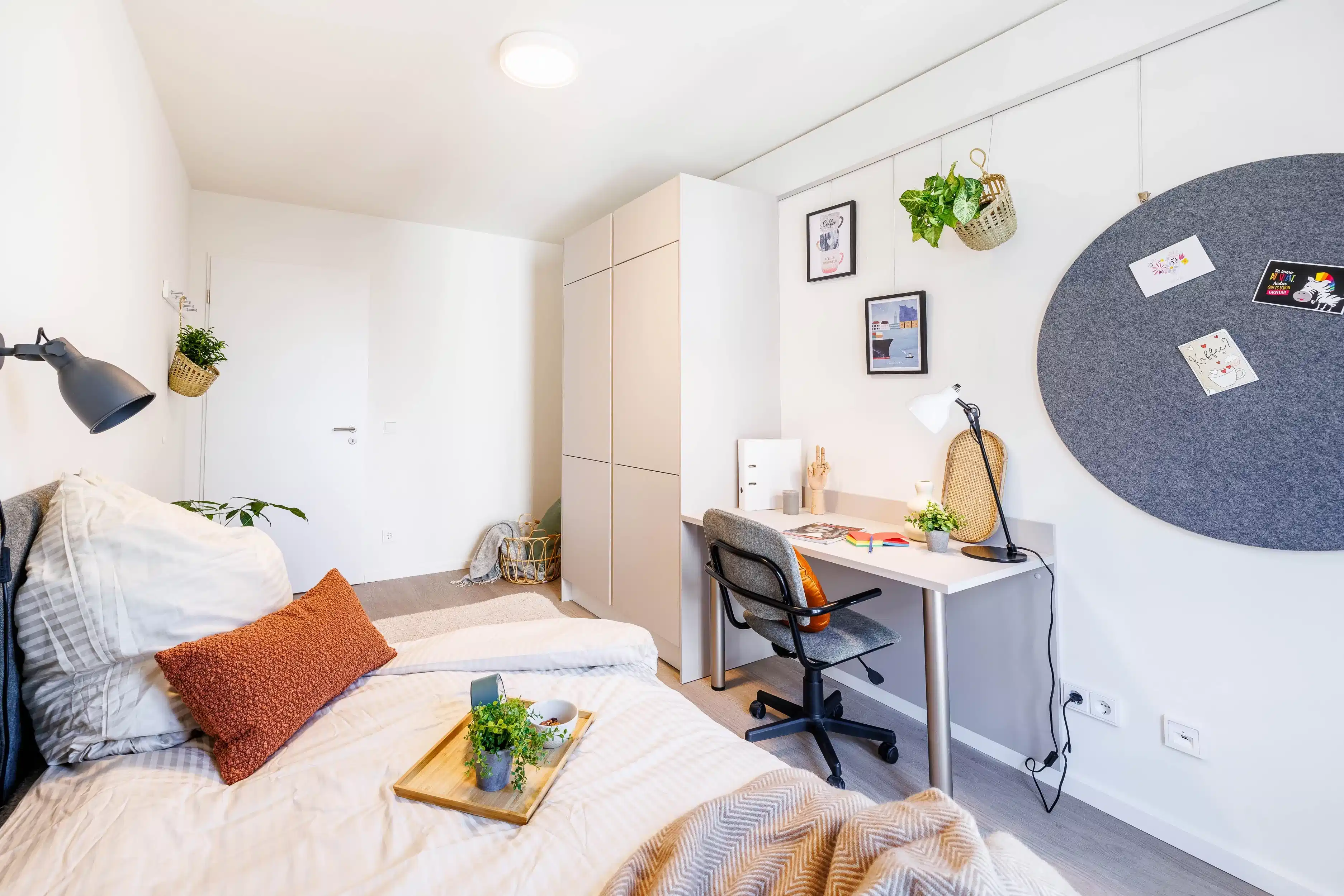 Shared Studio