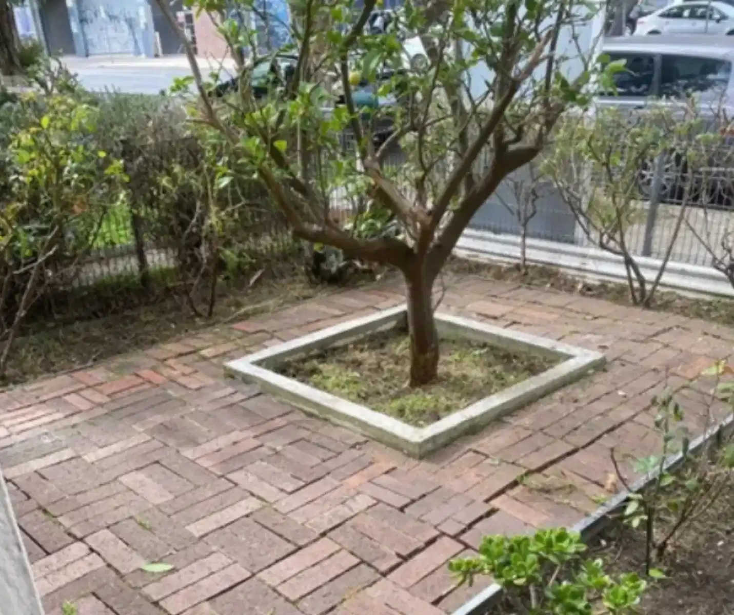 Footscray, Melbourne - Melbourne, Victoria, Australia - Exterior