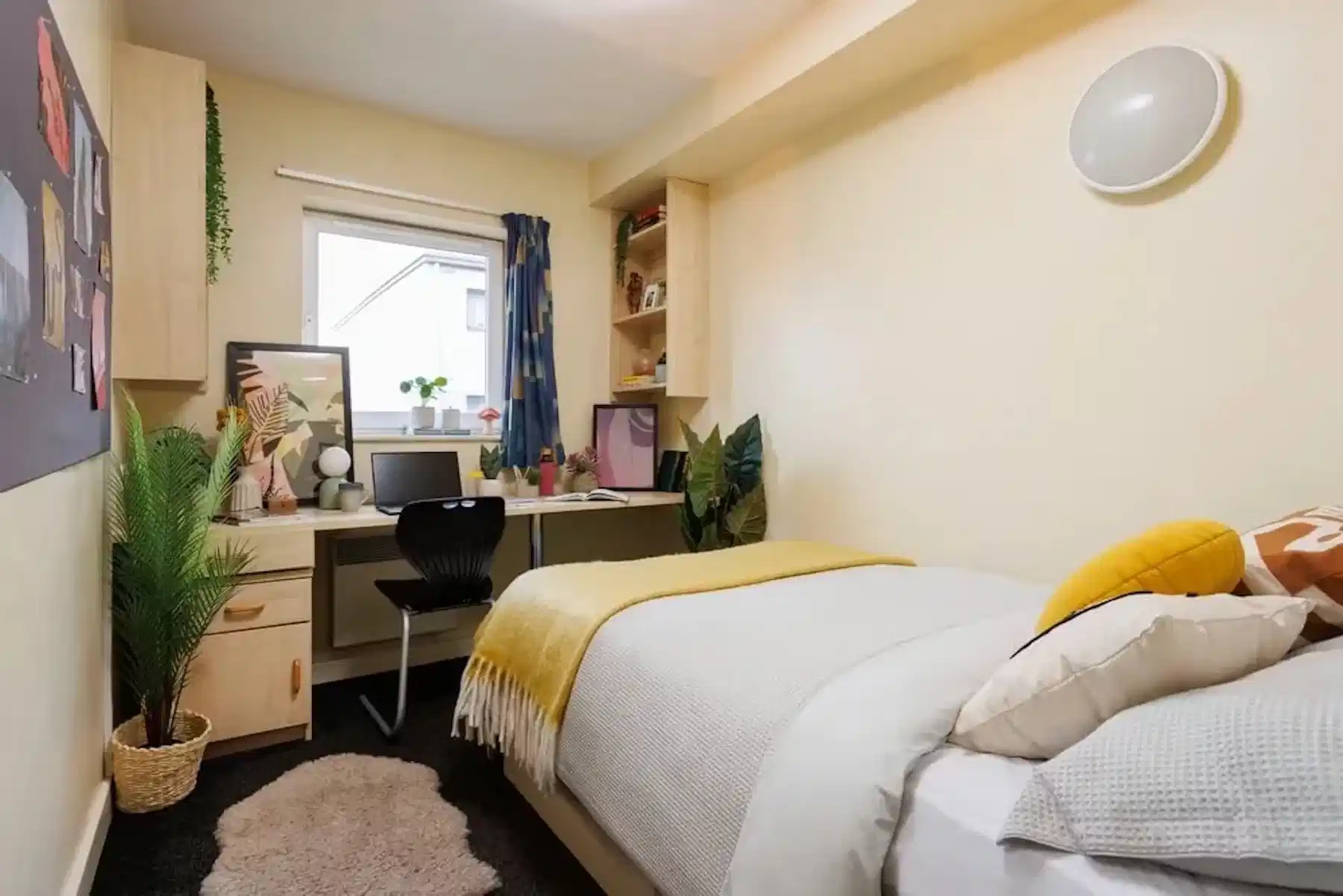 Basic Ensuite