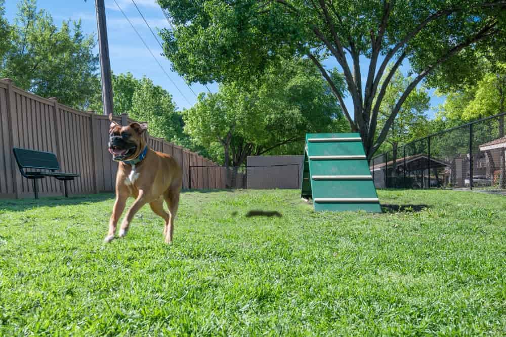 Rancho Palisades, Dallas - Dallas, Texas, United States - Exterior