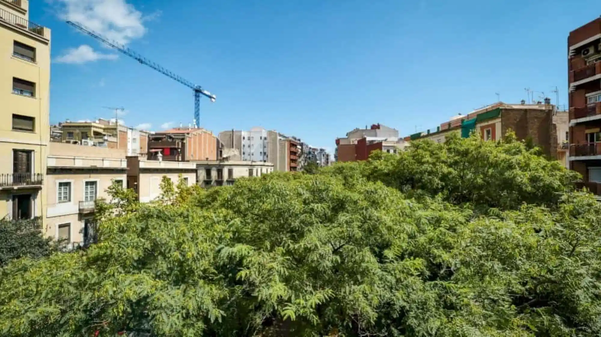 SPC 8026, Barcelona 2