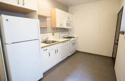5508 S. Cornell Avenue, Chicago - Chicago, Illinois, United States - Kitchen