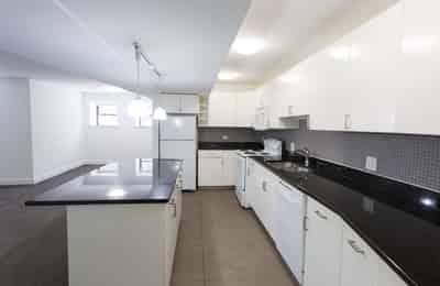 5229 S. Drexel Avenue, Chicago - Chicago, Illinois, United States - Kitchen