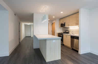 1400 E. 57th Street, Chicago - Chicago, Illinois, United States - Kitchen