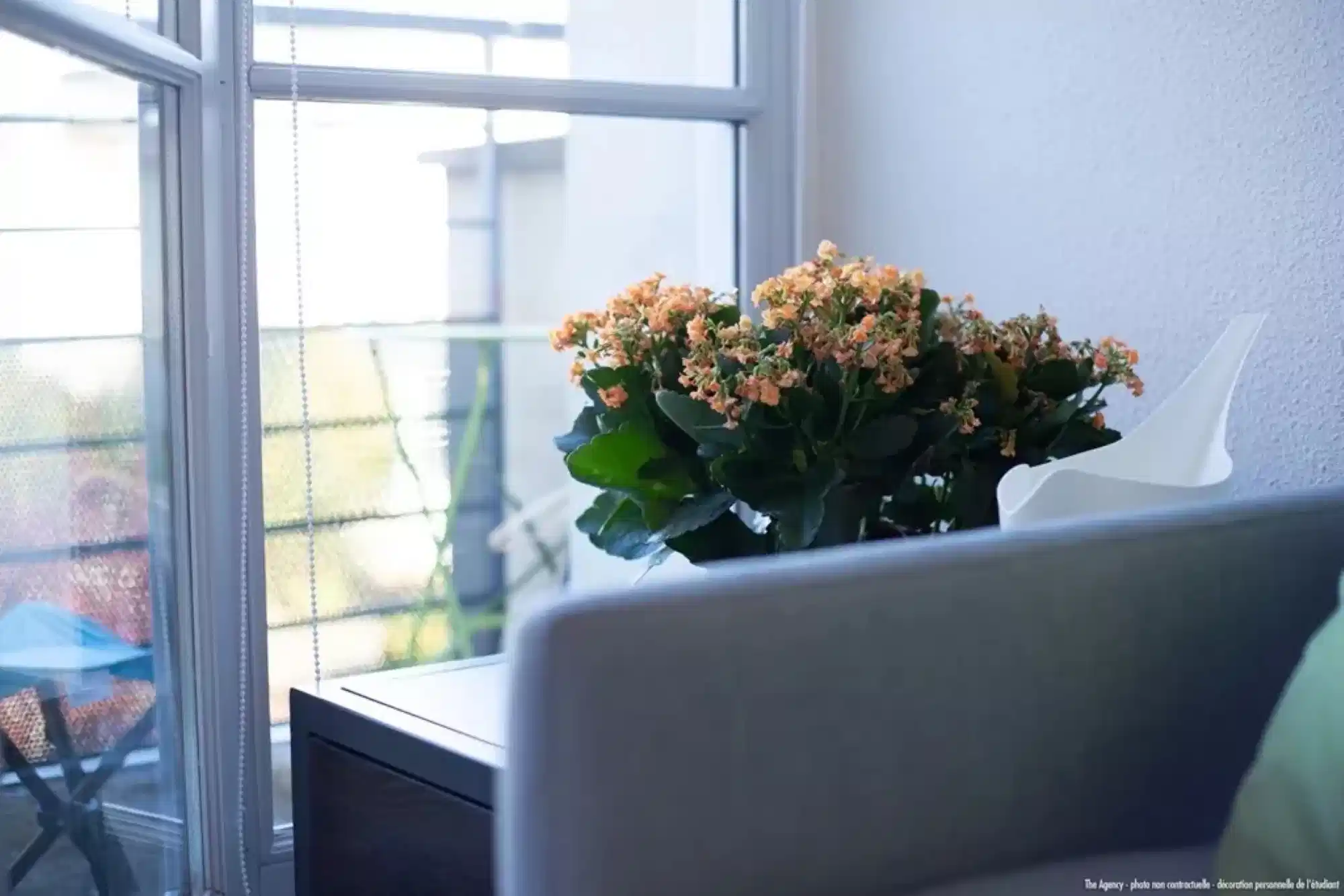 Amenities?w=400&h=260&fit=crop&q=40&auto=format&trim=auto