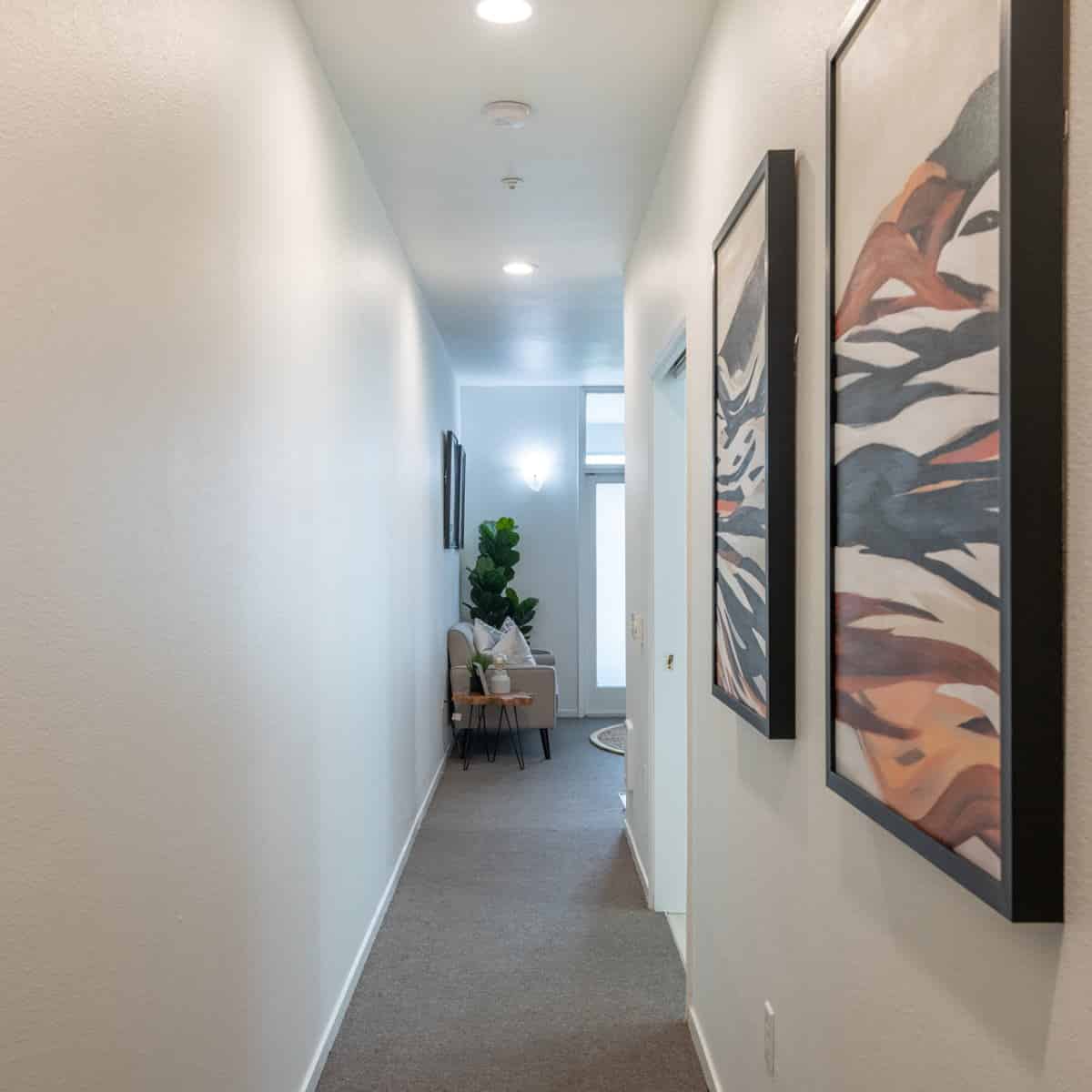 Sterling Haste, Berkeley - Berkeley, California, United States - Room