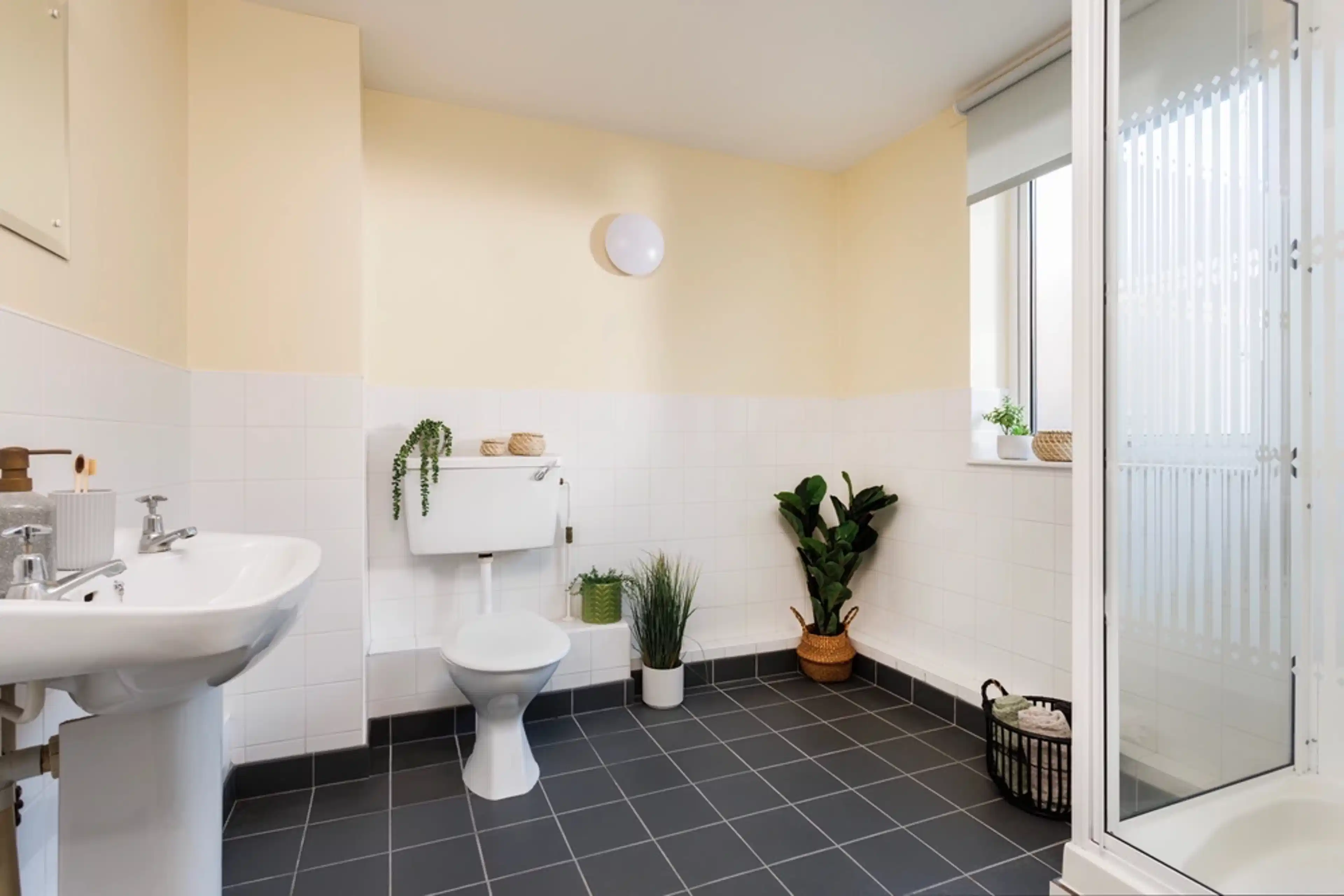 Common Area?w=400&h=260&fit=crop&q=40&auto=format&trim=auto