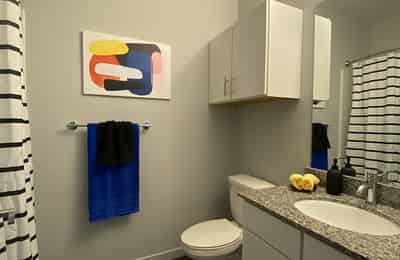 Lark Gainesville, Gainesville - Gainesville, Florida, United States - Bathroom