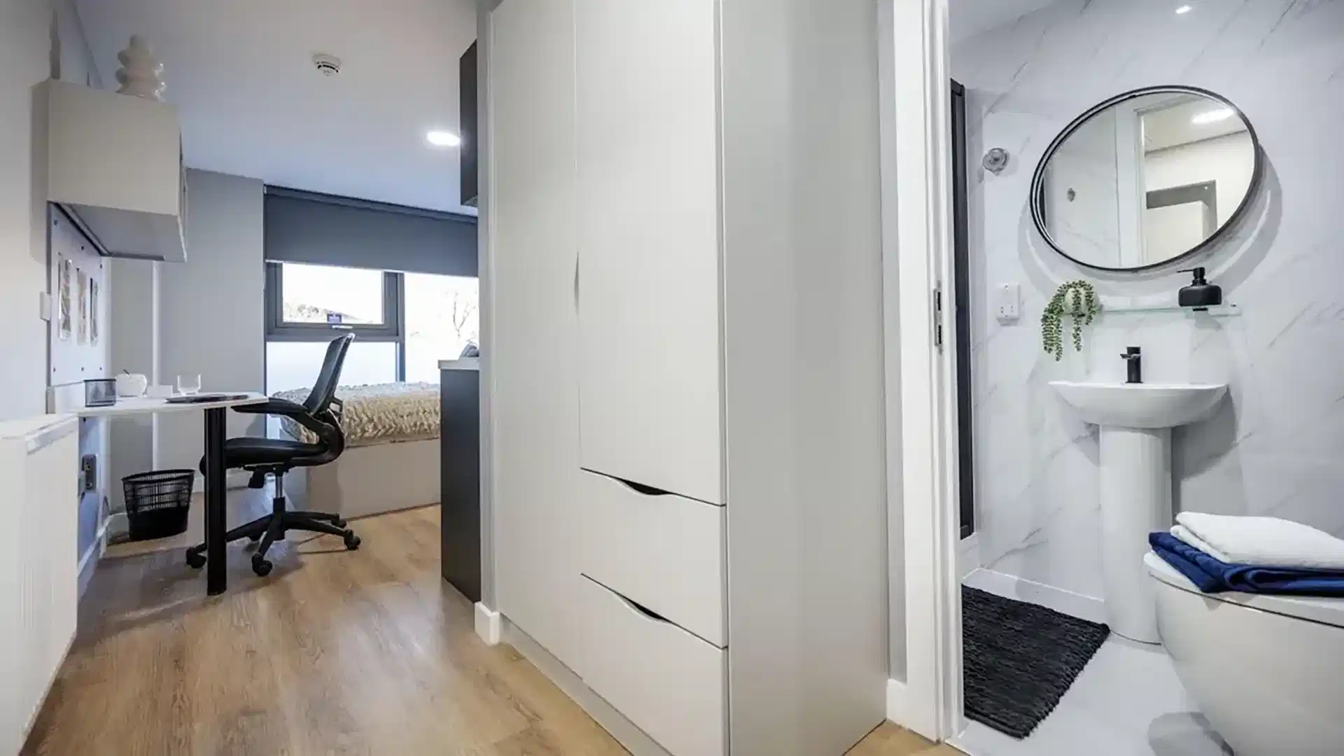 Standard Studio Plus with Single bed