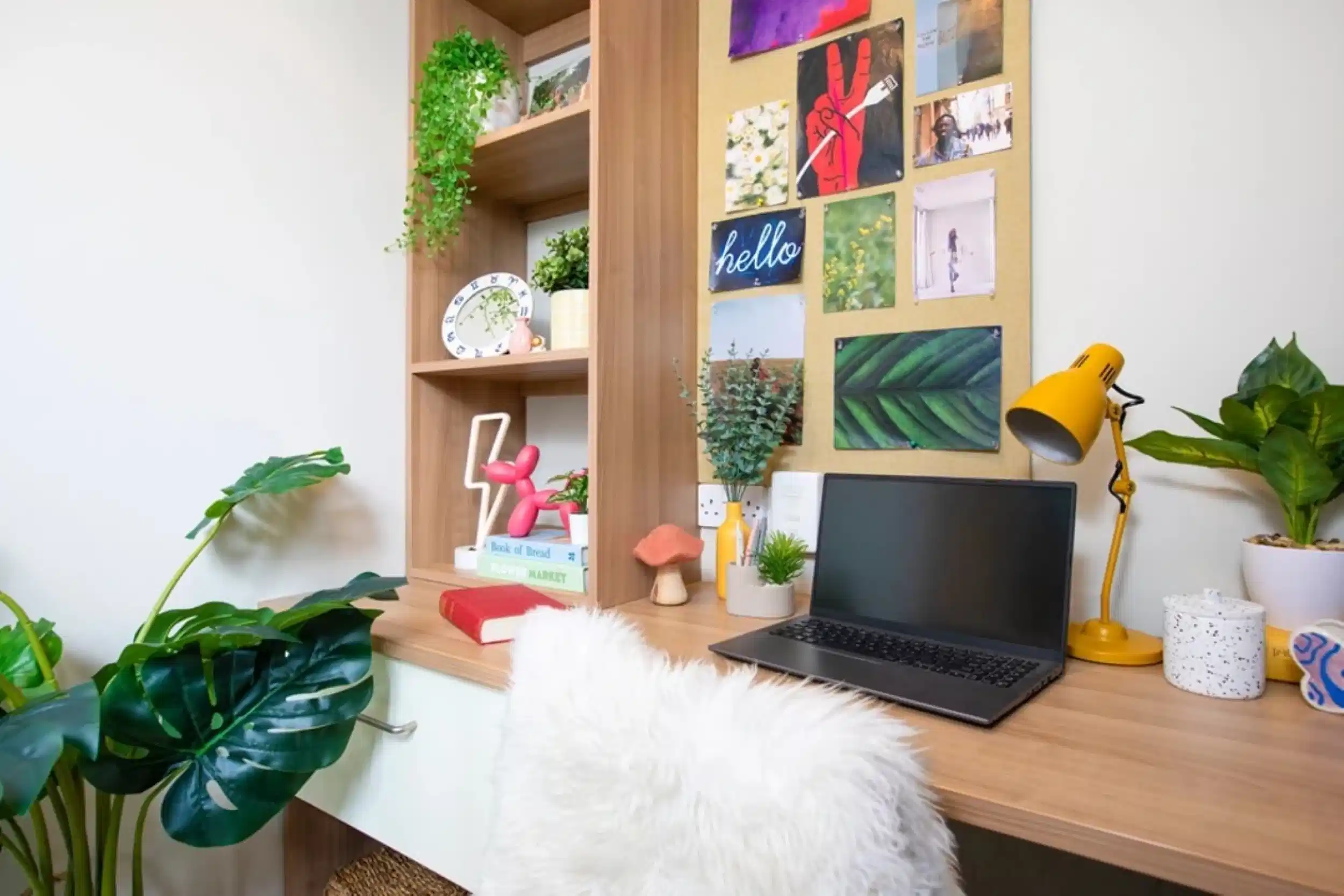 Waverley House, Bristol - Bristol, England, United Kingdom - Amenities