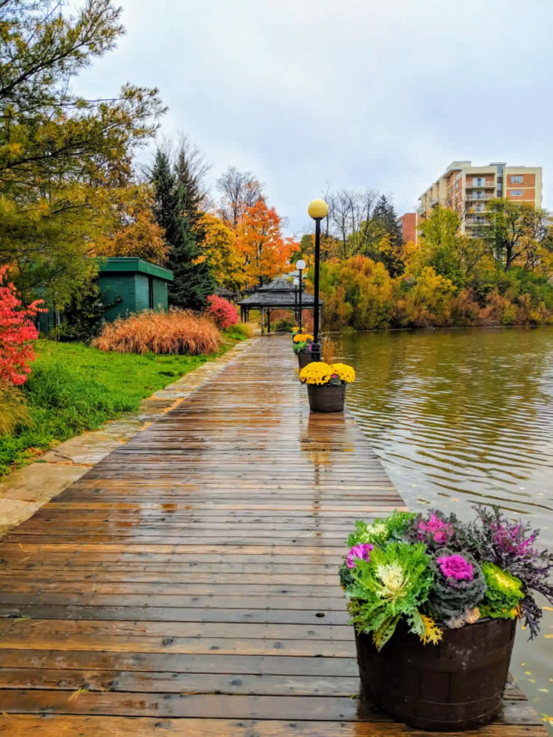 143 Columbia Ave, Waterloo - Waterloo, Ontario, Canada - Exterior