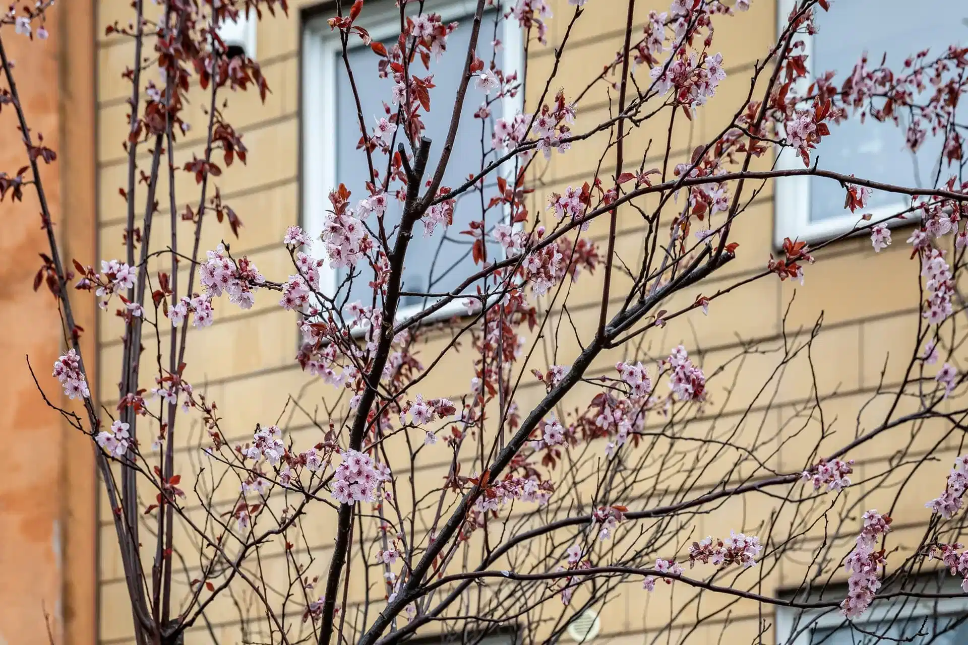 Exterior?w=400&h=260&fit=crop&q=40&auto=format&trim=auto