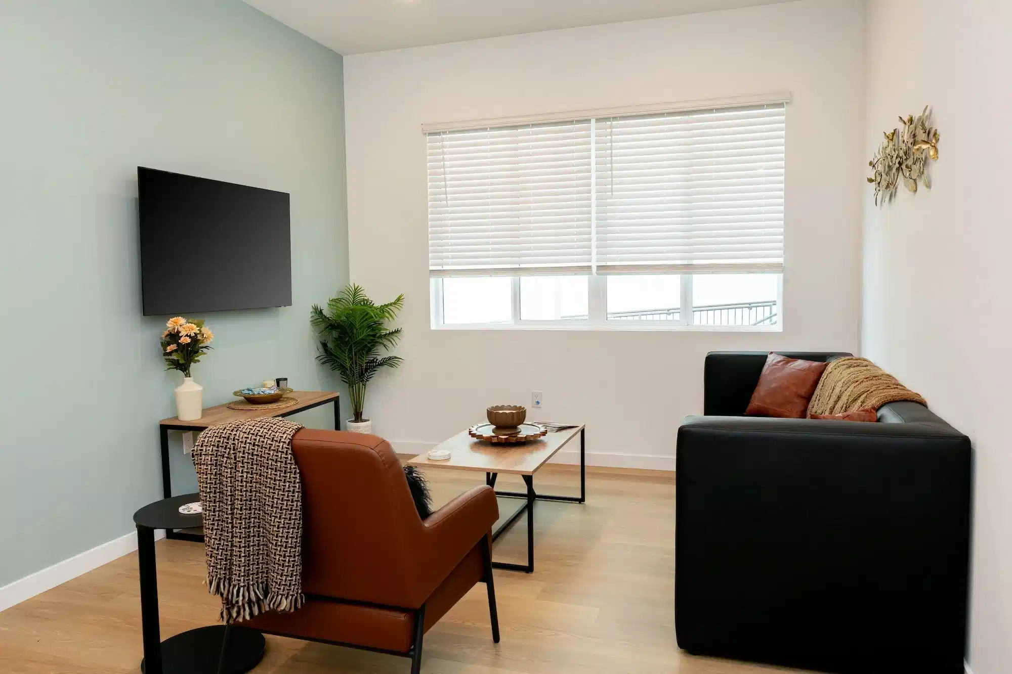 Monte, San Diego - San Diego, California, United States - Amenities