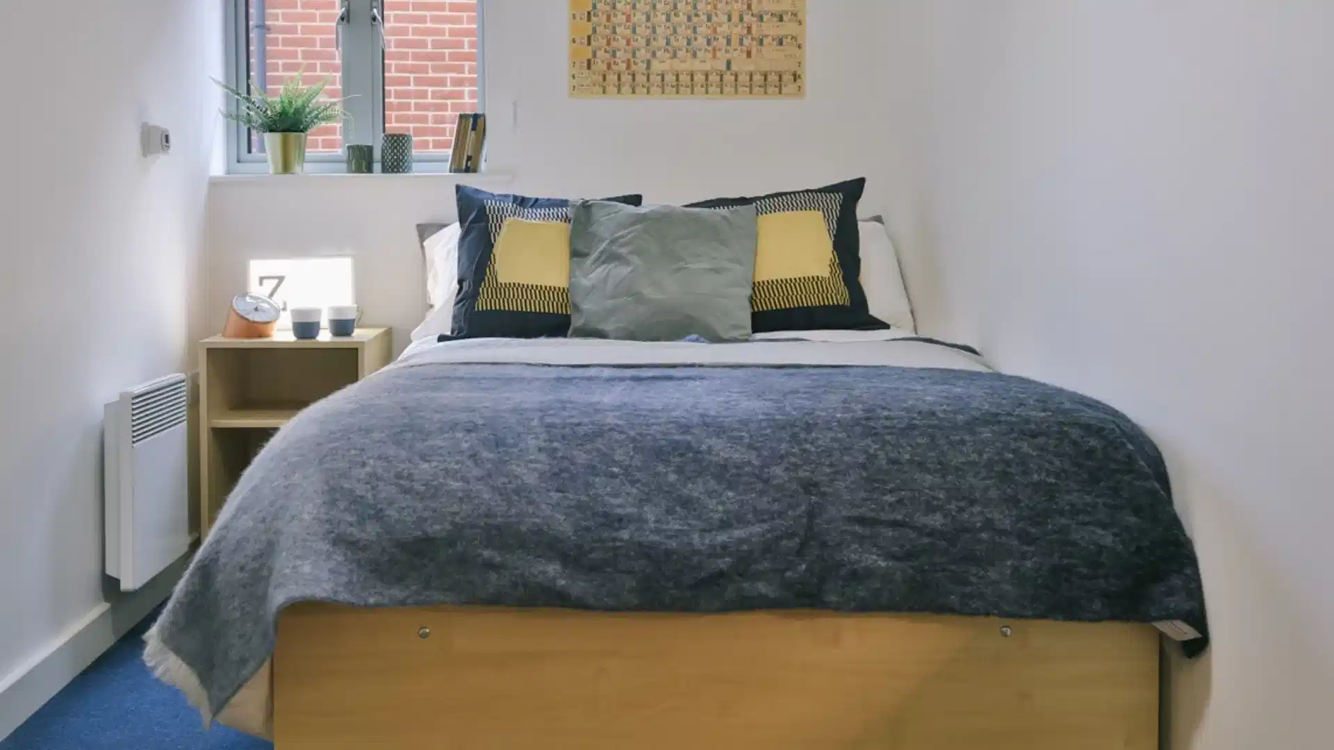 Pavilion Court, Canterbury - Canterbury, England, United Kingdom - Classic 2 Bed - Shared Bathroom - Apartment - Bedroom