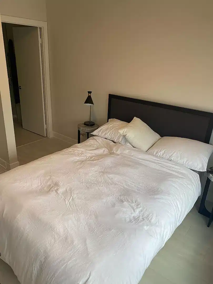 SPR M5G1C5, Toronto - Toronto, Ontario, Canada - Bedroom