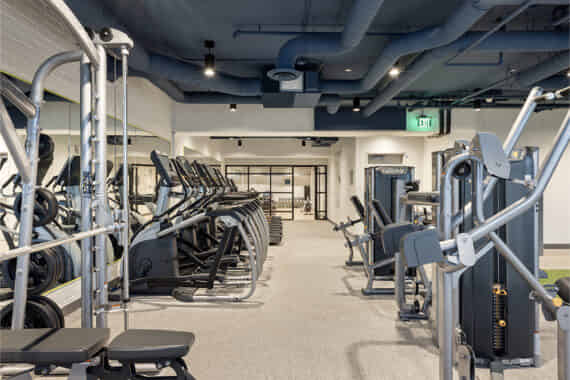 ōLiv Seattle, Seattle - Seattle, Washington, United States - Amenities