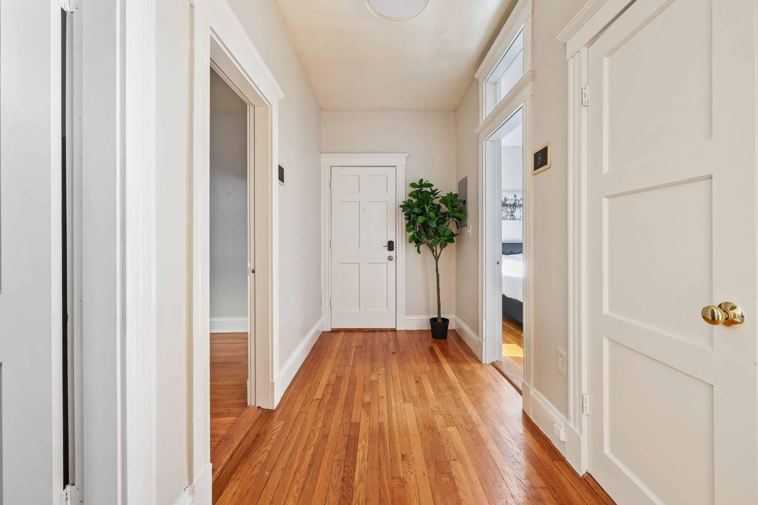 June Homes 02134, Boston image 322