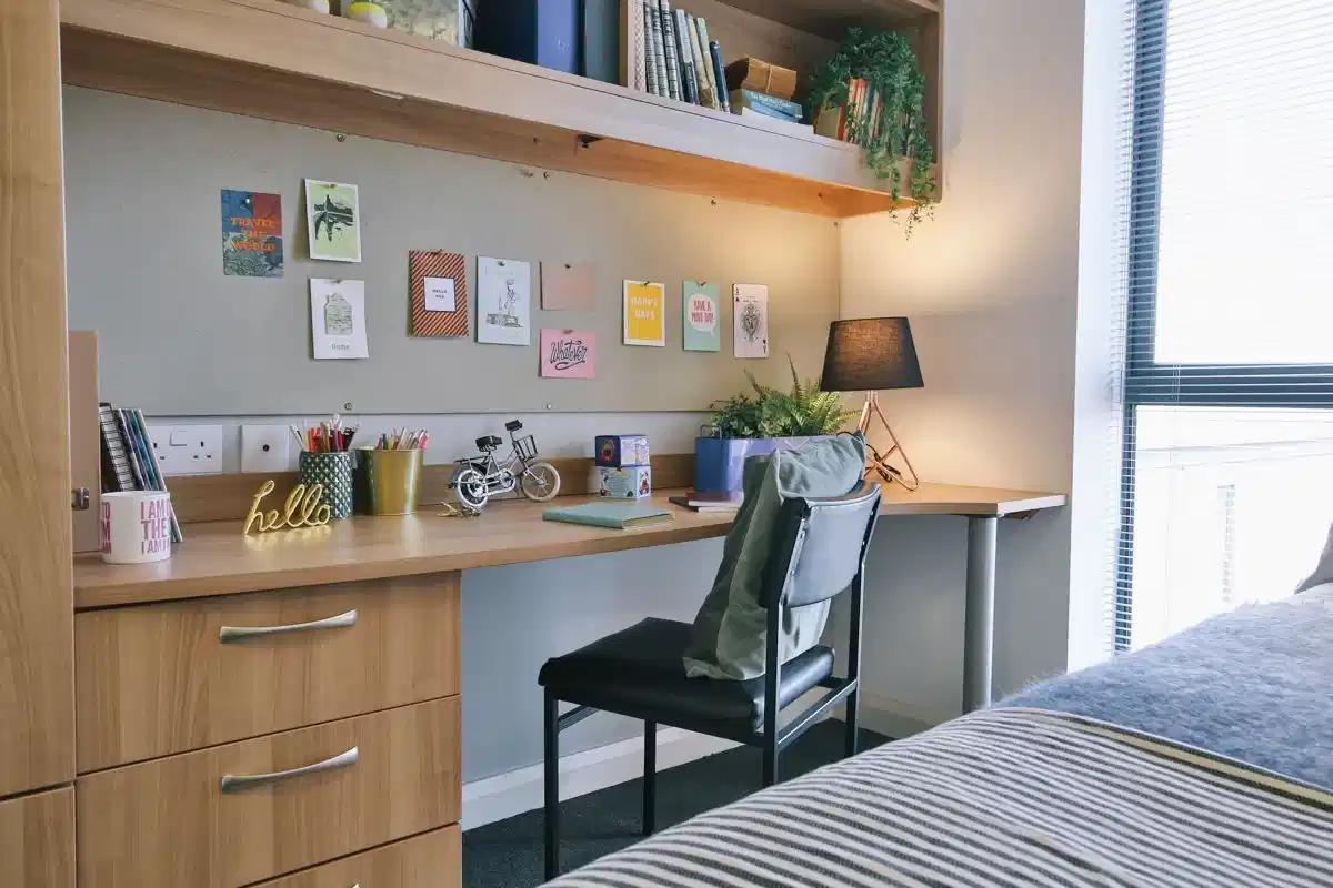 Applegate Place, Leicester  - Leicester, England, United Kingdom - Classic Shared Apartment - Bedroom