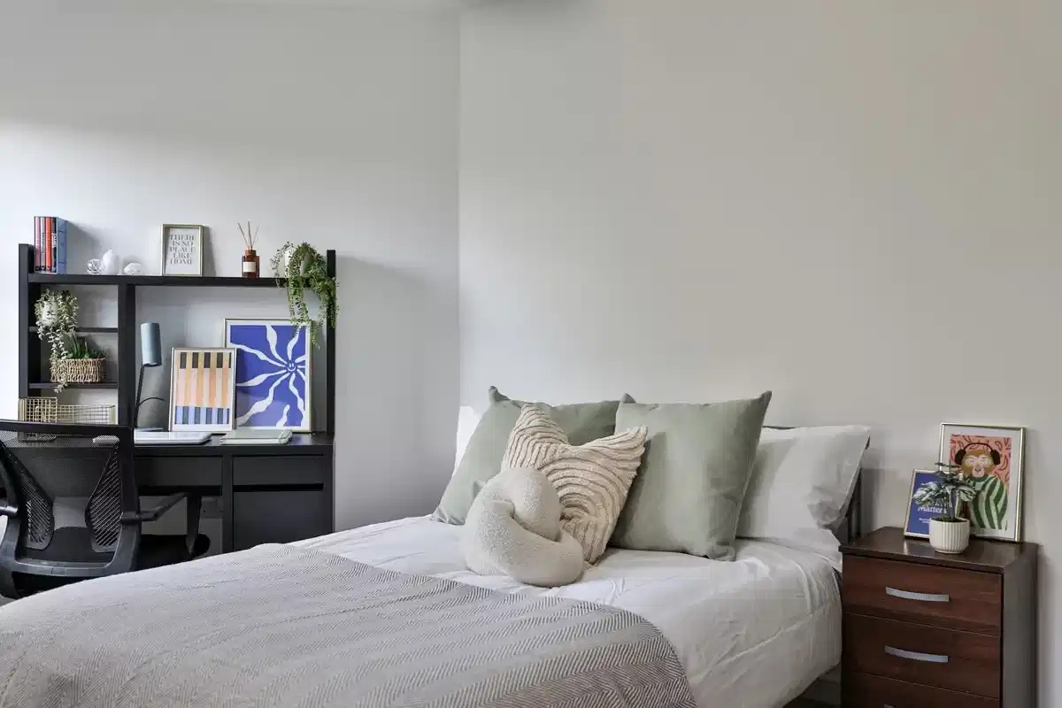 Basic Shared Apartment