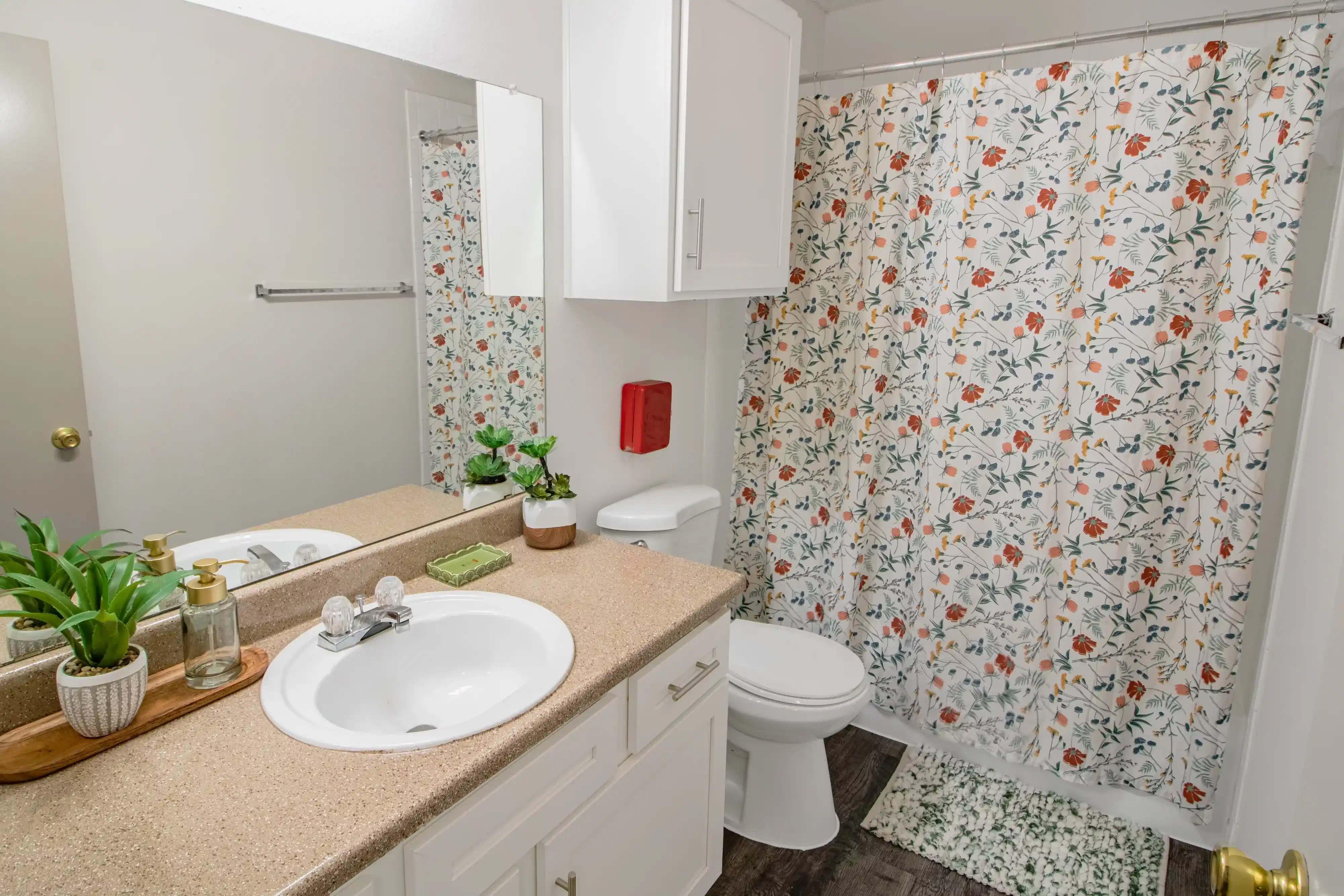 Arbors of Denton, Denton - Denton, Texas, United States - Bathroom