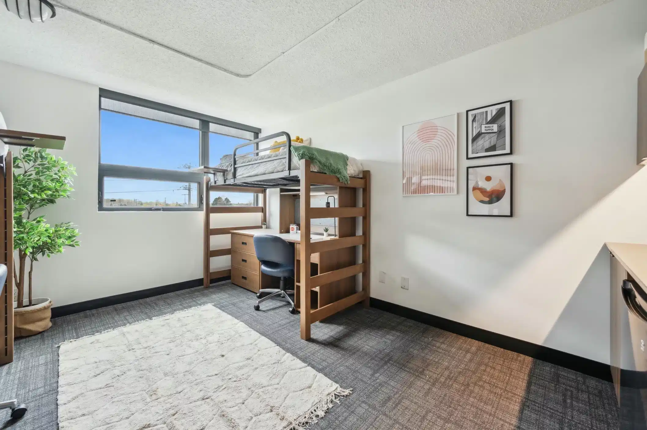 ALMA @ Guelph Student Housing - Guelph, Canada - Amenities