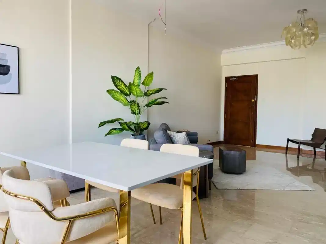  Room in a 3 Bedroom Apartment, 160 Killiney Road, Singapore 239568 - Singapore, Singapore - Common Area