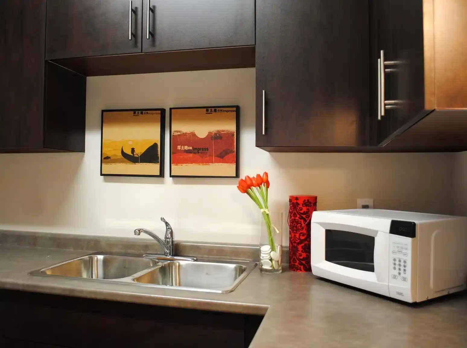Columbia, Waterloo - Waterloo, Ontario, Canada - Kitchen
