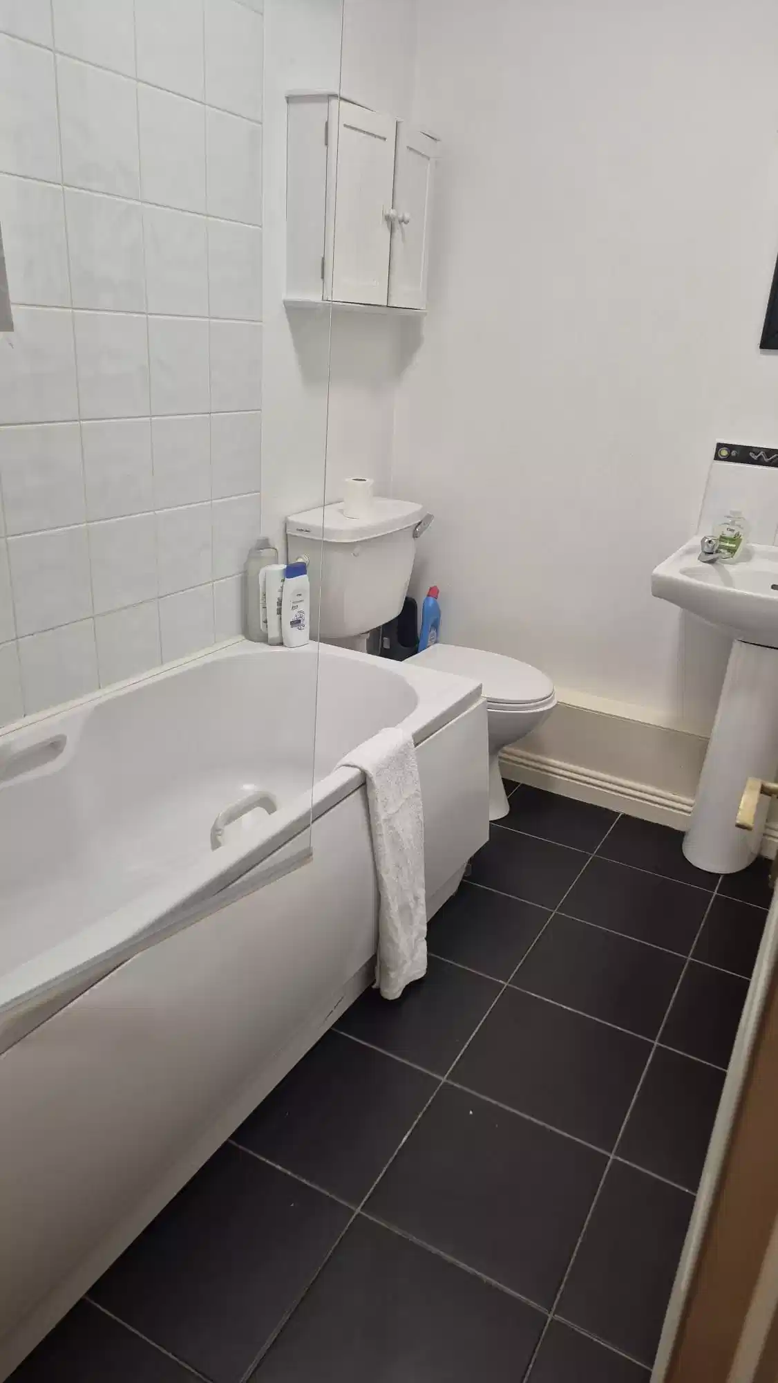 Room in a 2 Bedroom Apartment, 55 Mountjoy Square, Dublin 1 D01 DY79 view 5