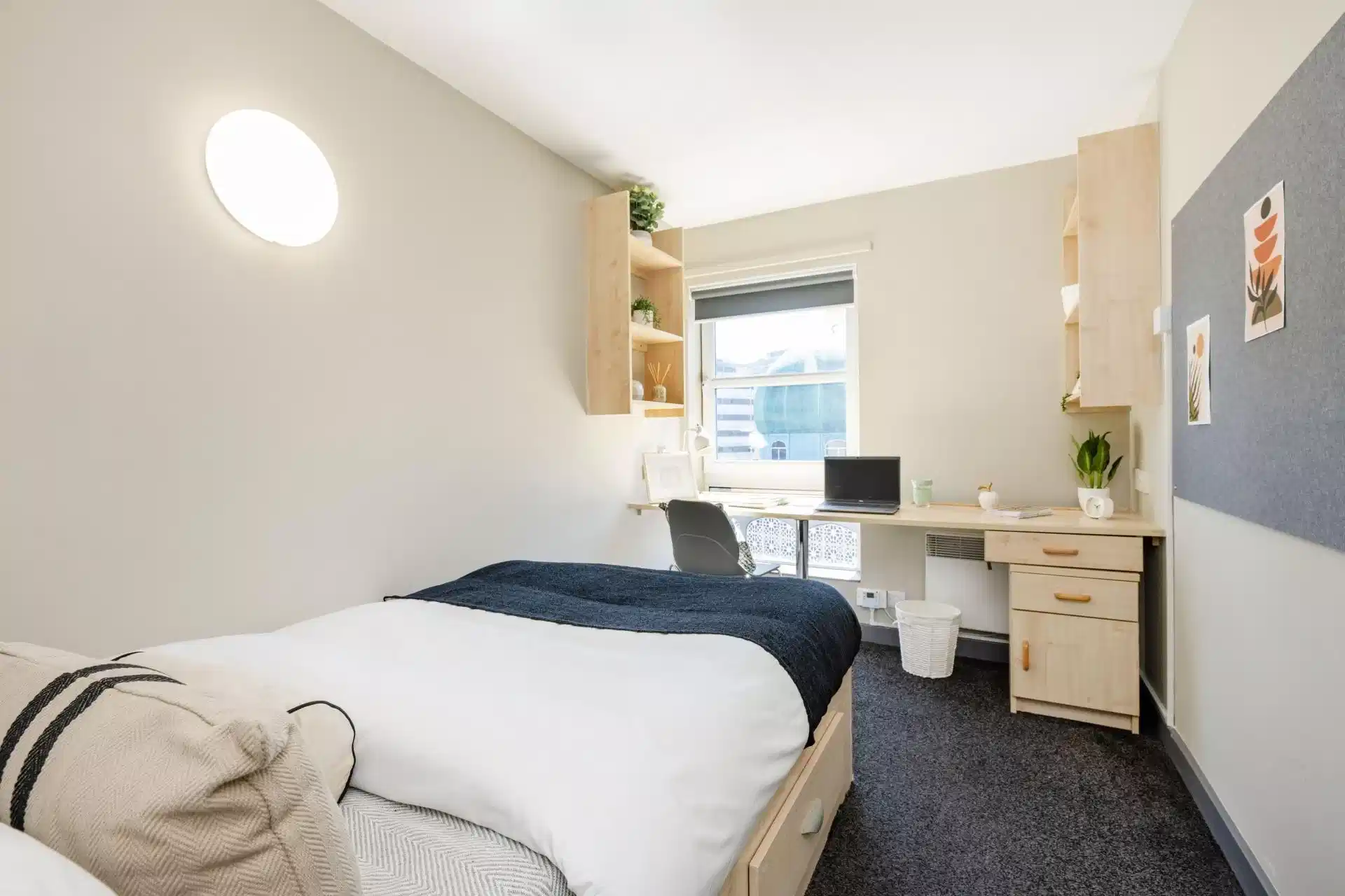 Basic Plus Ensuite