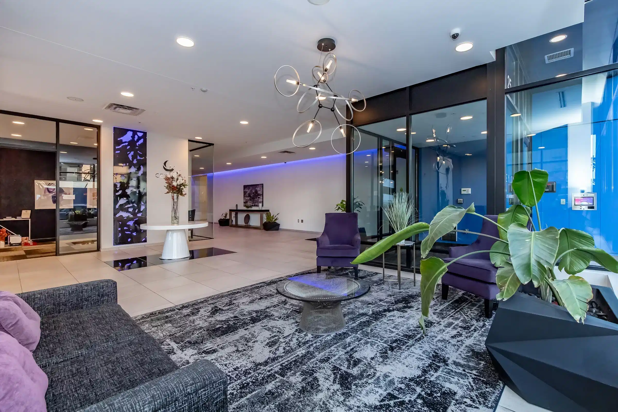 Ceylon Apartments, Clayton - St. Louis, Missouri, United States - Common Area