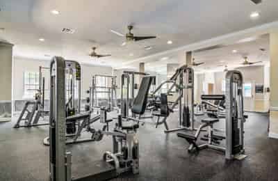 The Collective, Auburn - Auburn, Alabama, United States - Amenities