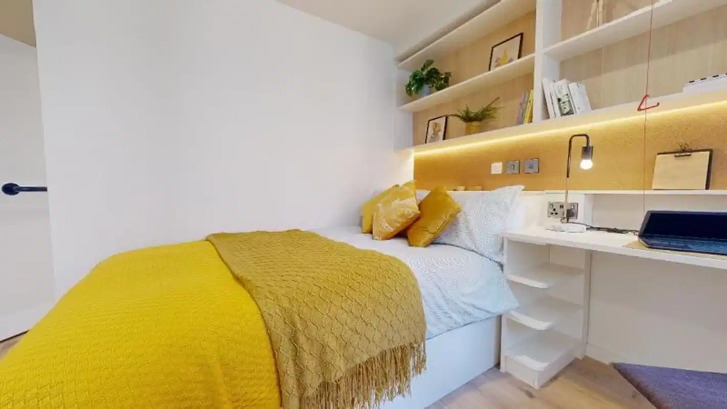 Gold Studio Plus