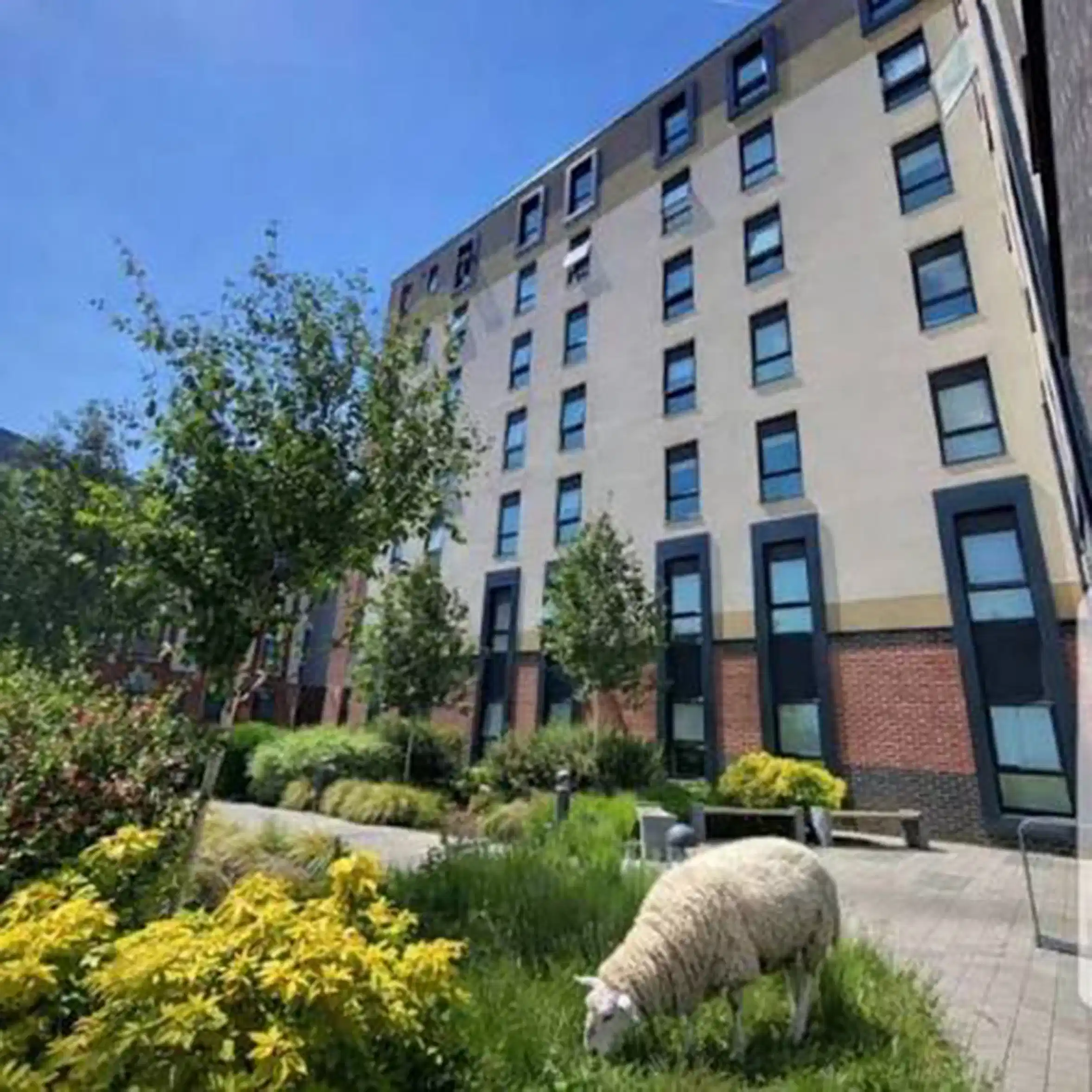Phoenix Place, Liverpool image 25