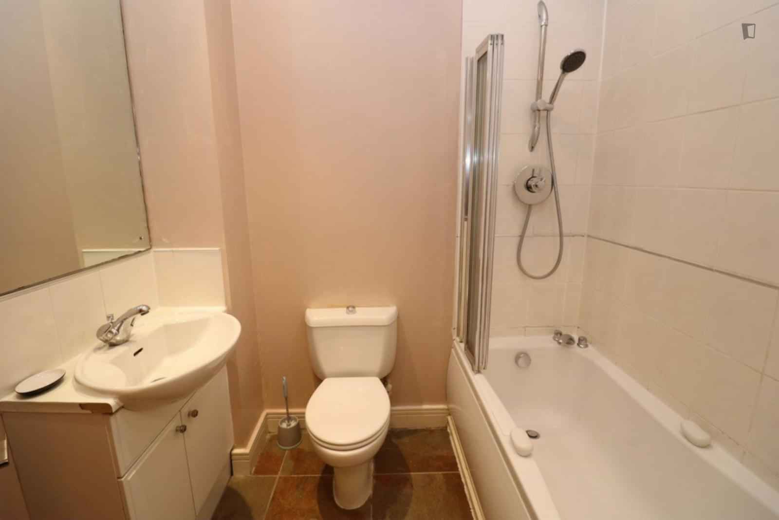 Room in a 5 Bedroom Apartment, Franklin Pl, London SE13 7ES - London, England, United Kingdom - 5 Bed - 1 Bath - Bathroom