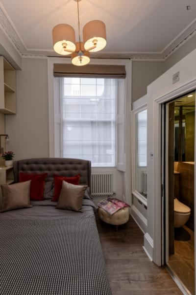 1 Bedroom Apartment, Gloucester Pl, London W1U 6JS (Flat 2) - London, England, United Kingdom - 1 Bedroom Apartment - Bedroom