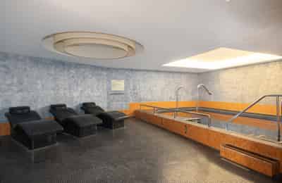1 Bedroom Apartment, Eagle Pl, St. James's, London W1J 9HL - London, England, United Kingdom - Amenities