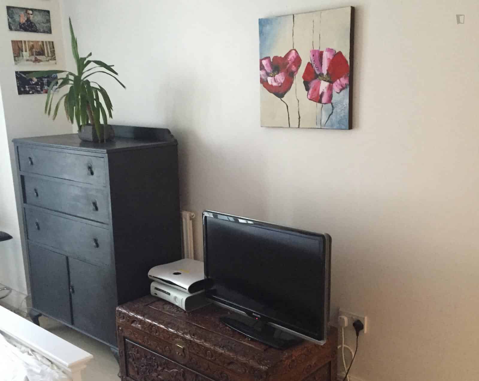 Room in a 5 Bedroom Apartment, Park Road, London NW1 4SA - London, England, United Kingdom - 5 Bedroom 1 Bathroom Apartment - Amenities