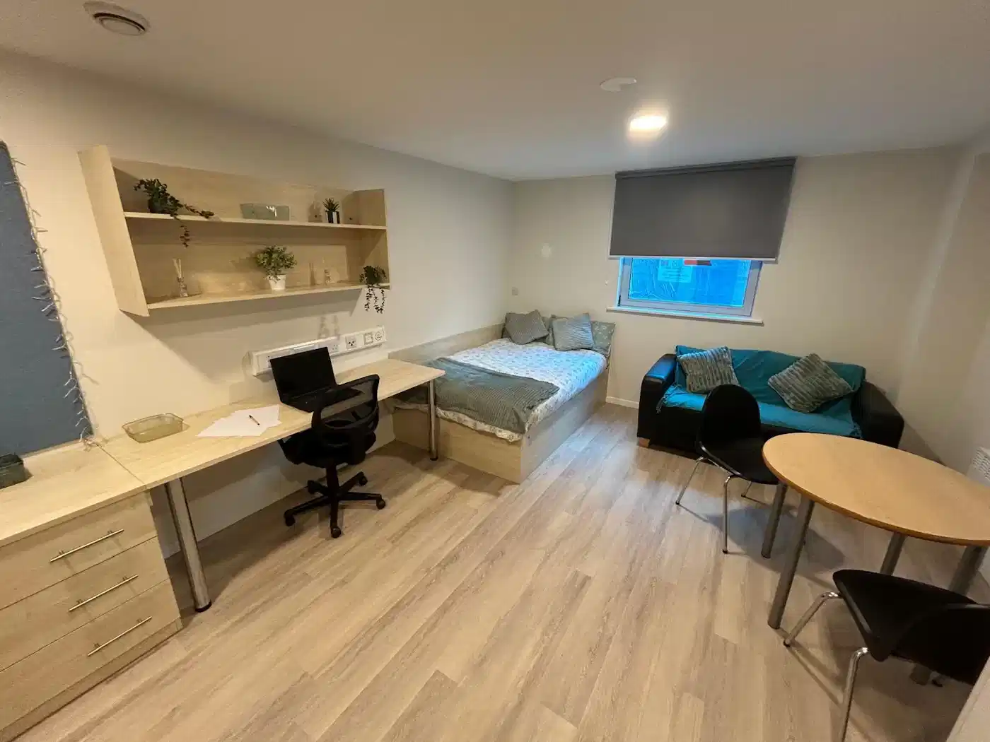 Studio Deluxe 