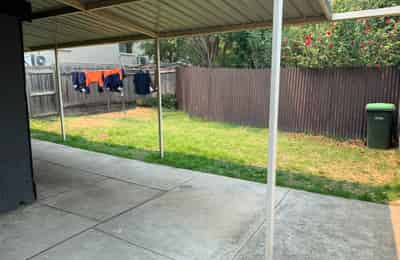 Room in a 9 Bedroom Apartment, 70 New Canterbury, Petersham, Sydney - Sydney, New South Wales, Australia - Exterior