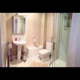 Flat 24 Victoria Building 15 Victoria Street L2, Liverpool - Liverpool, England, United Kingdom - 3 Bedroom 1 Bathroom Apartment - Bathroom