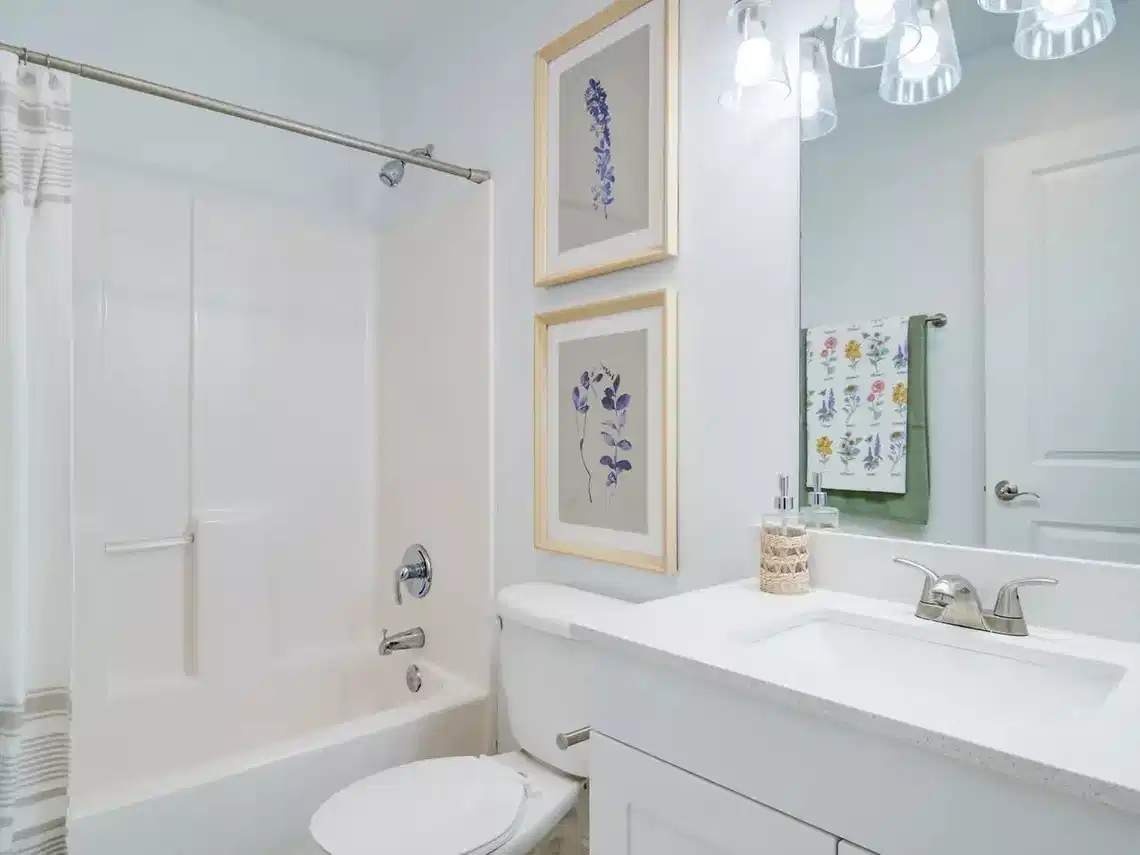 Yugo Auburn North, Auburn - Auburn, Alabama, United States - Bathroom