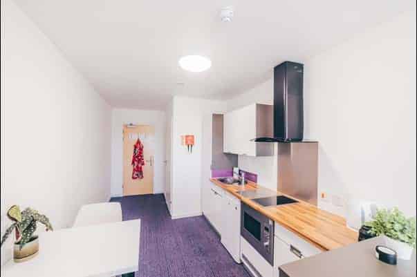 The Copse, Colchester - Colchester, England, United Kingdom - Premium Studio - Kitchen