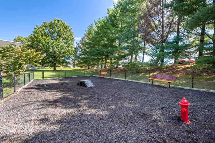Terrace View, Blacksburg 4